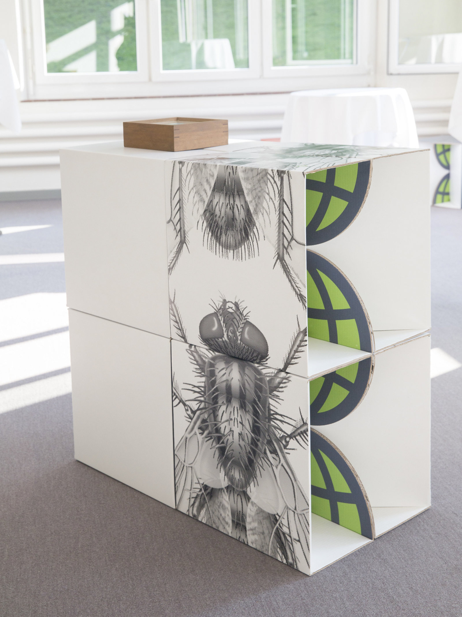 Augmented Reality Ausstellung und erste Ausgleichsfläche Insect Respect