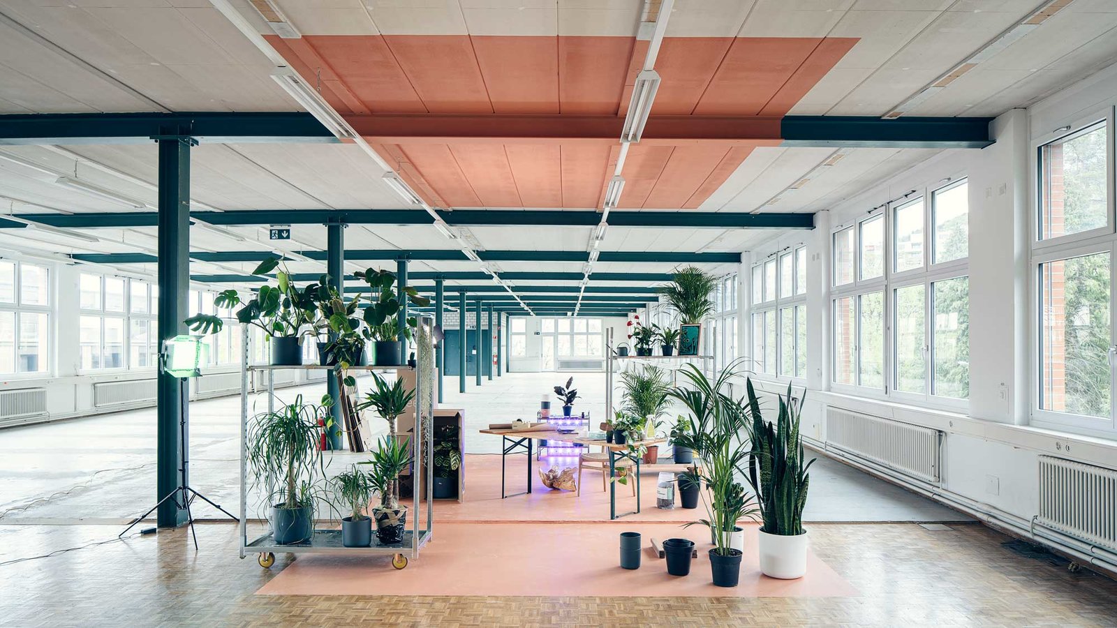 Fotografie rittmeyerstrasse.ch Feey