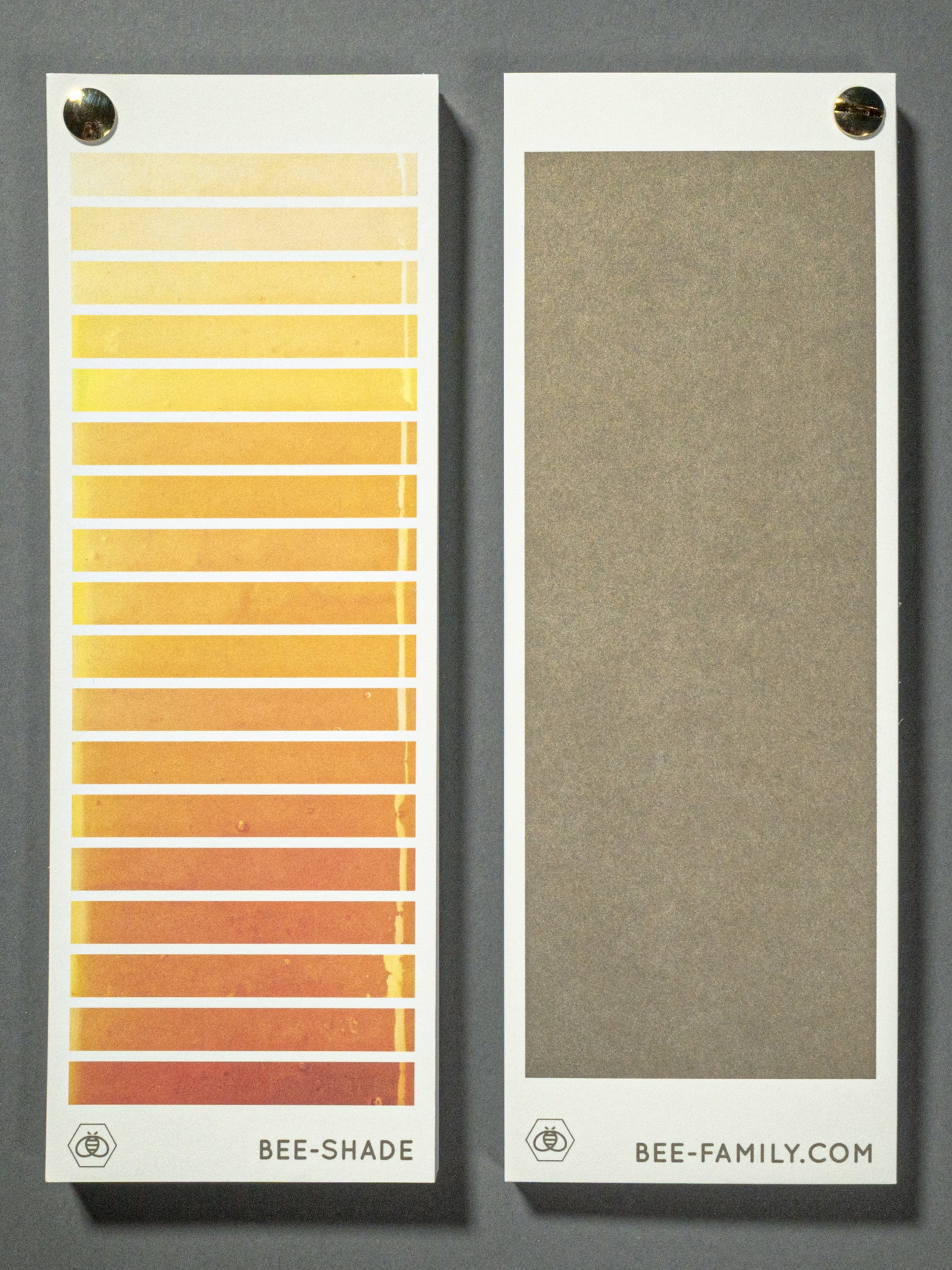 Farbfächer Bee Family