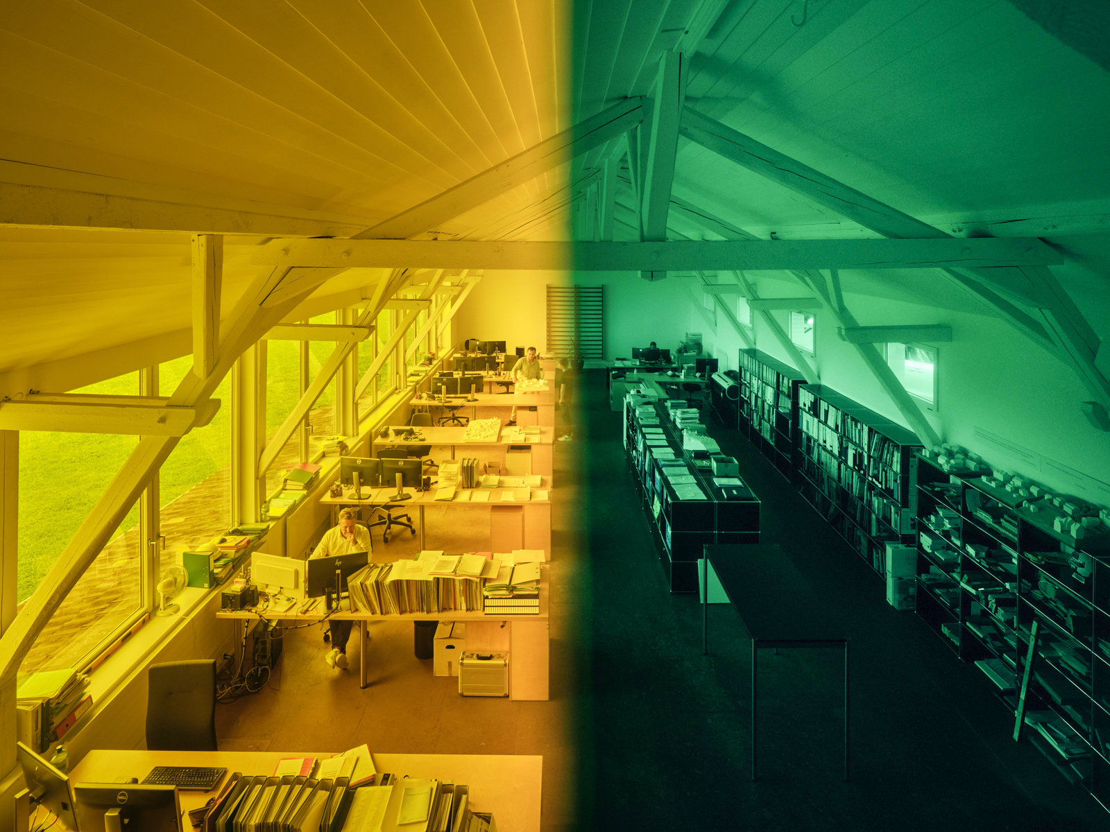 Fotografie gelbgruen