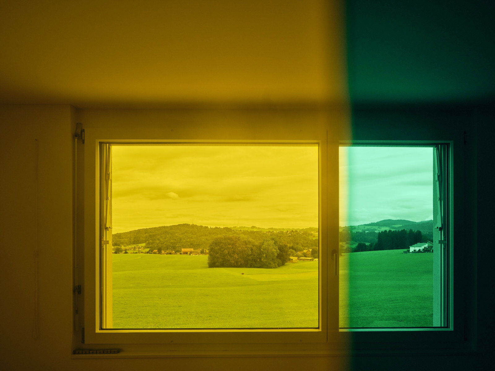 Fotografie gelbgruen