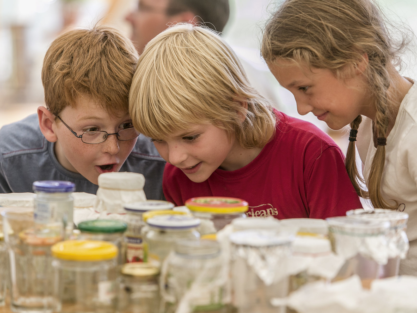 Fliegenretten in Deppendorf von Reckhaus