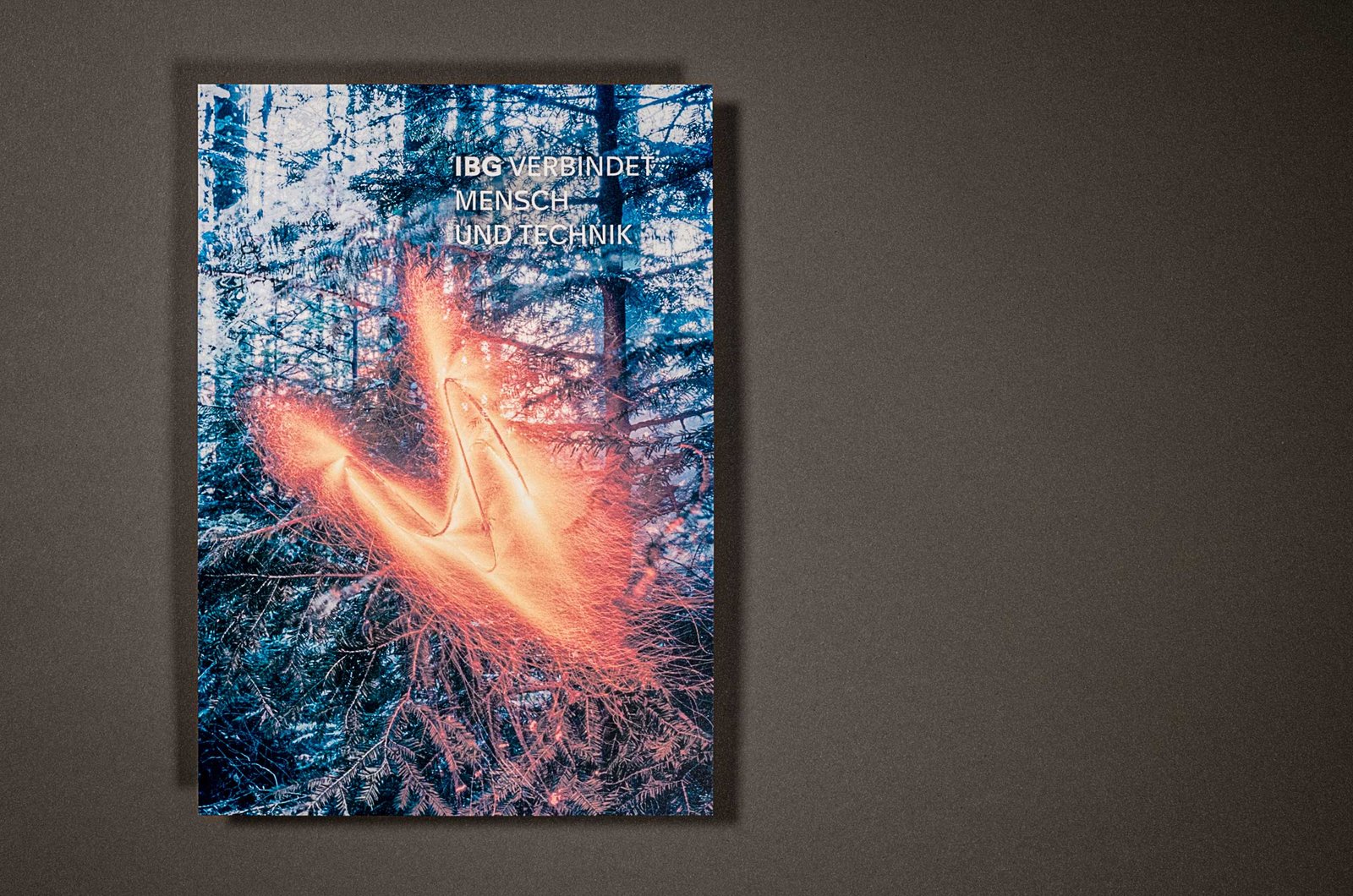 IBG Weihnachtsgrüsse