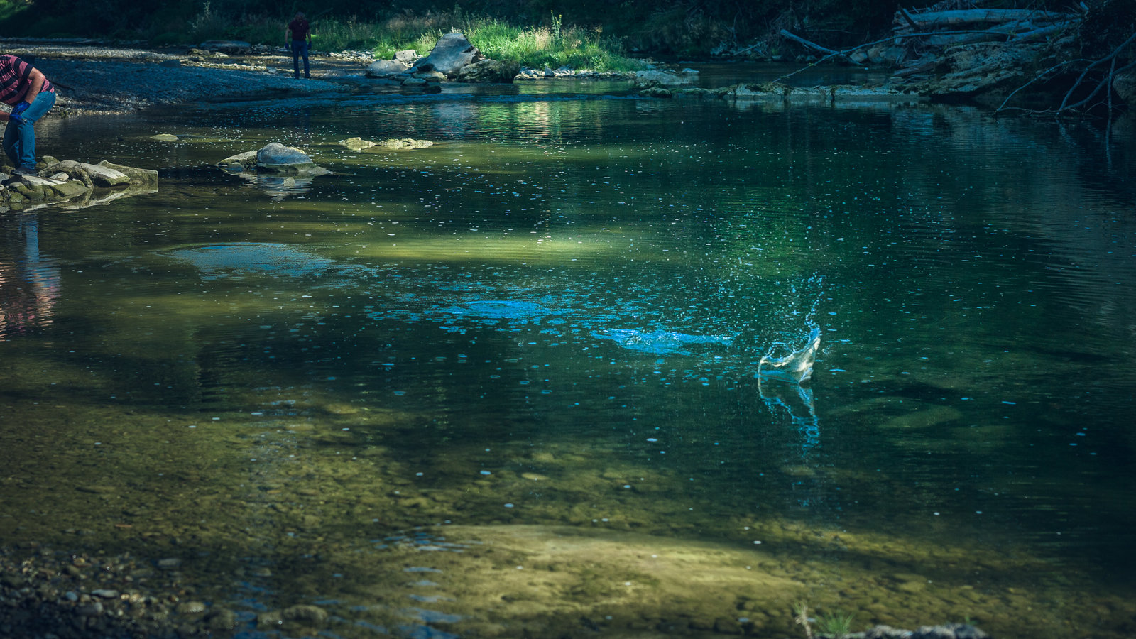 Direct Mailing IMP für den Kurs SKU der Universität St.Gallen