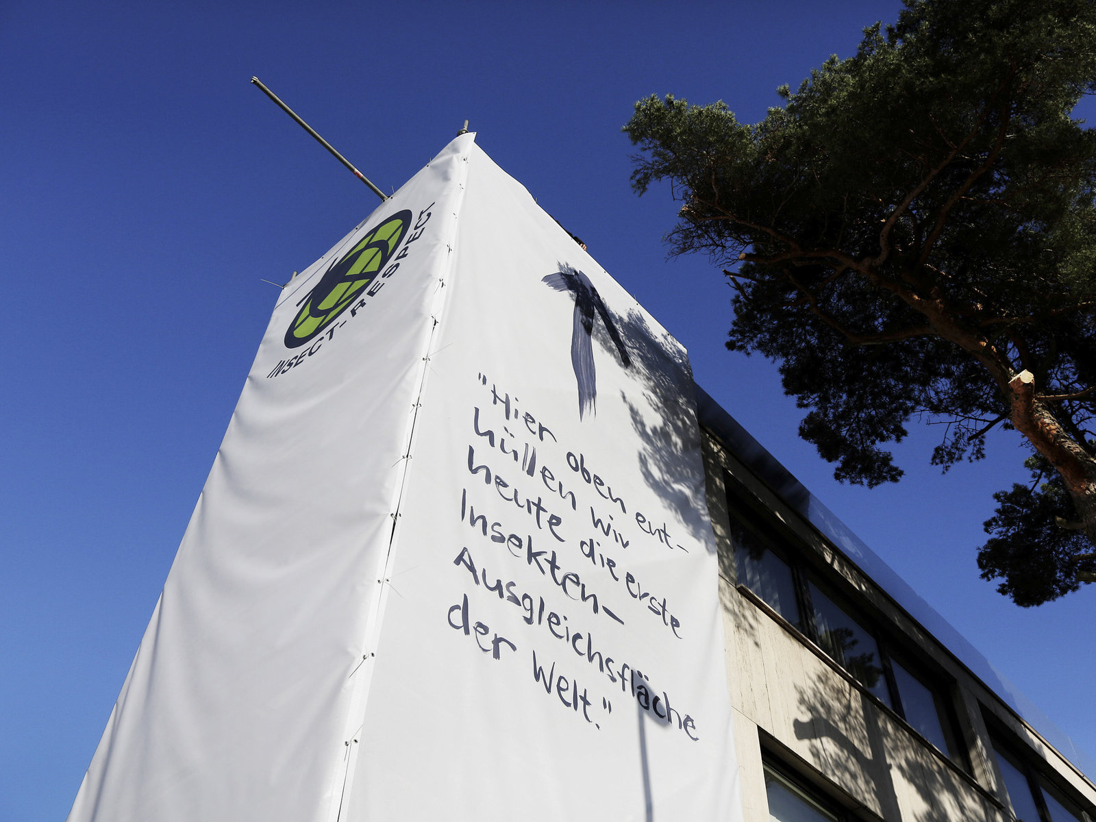 Insect Respect Fläche