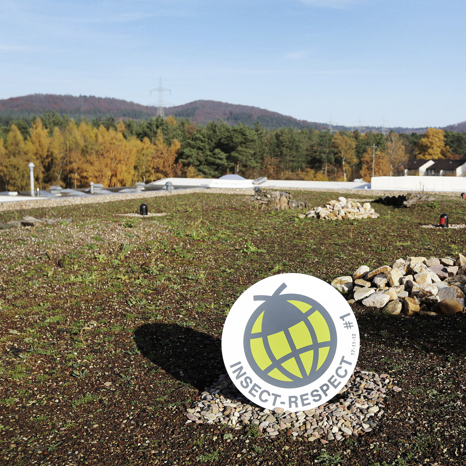 Insect Respect Fläche