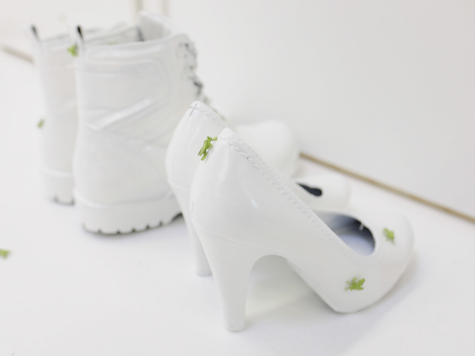 Messestand BioFach 2018 von Insect Respect