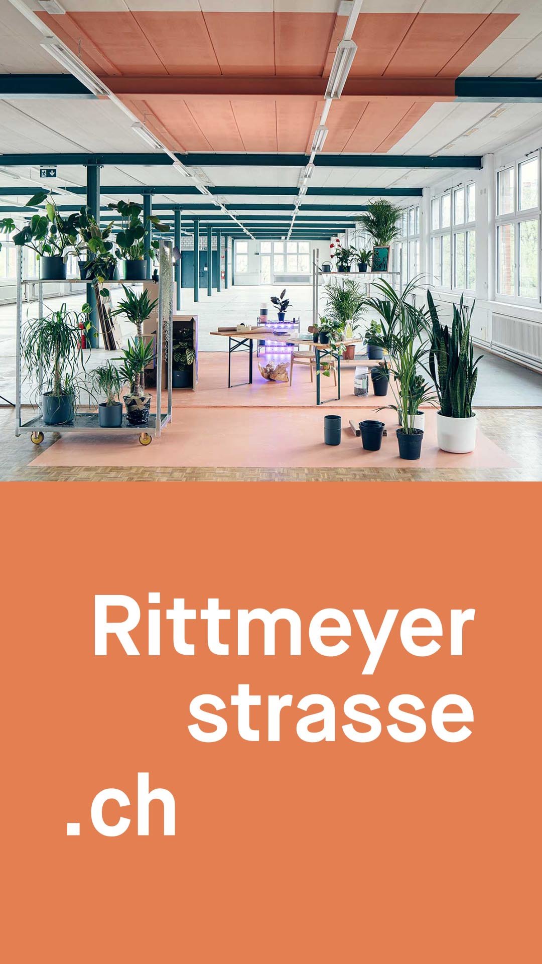 Social Media rittmeyerstrasse.ch