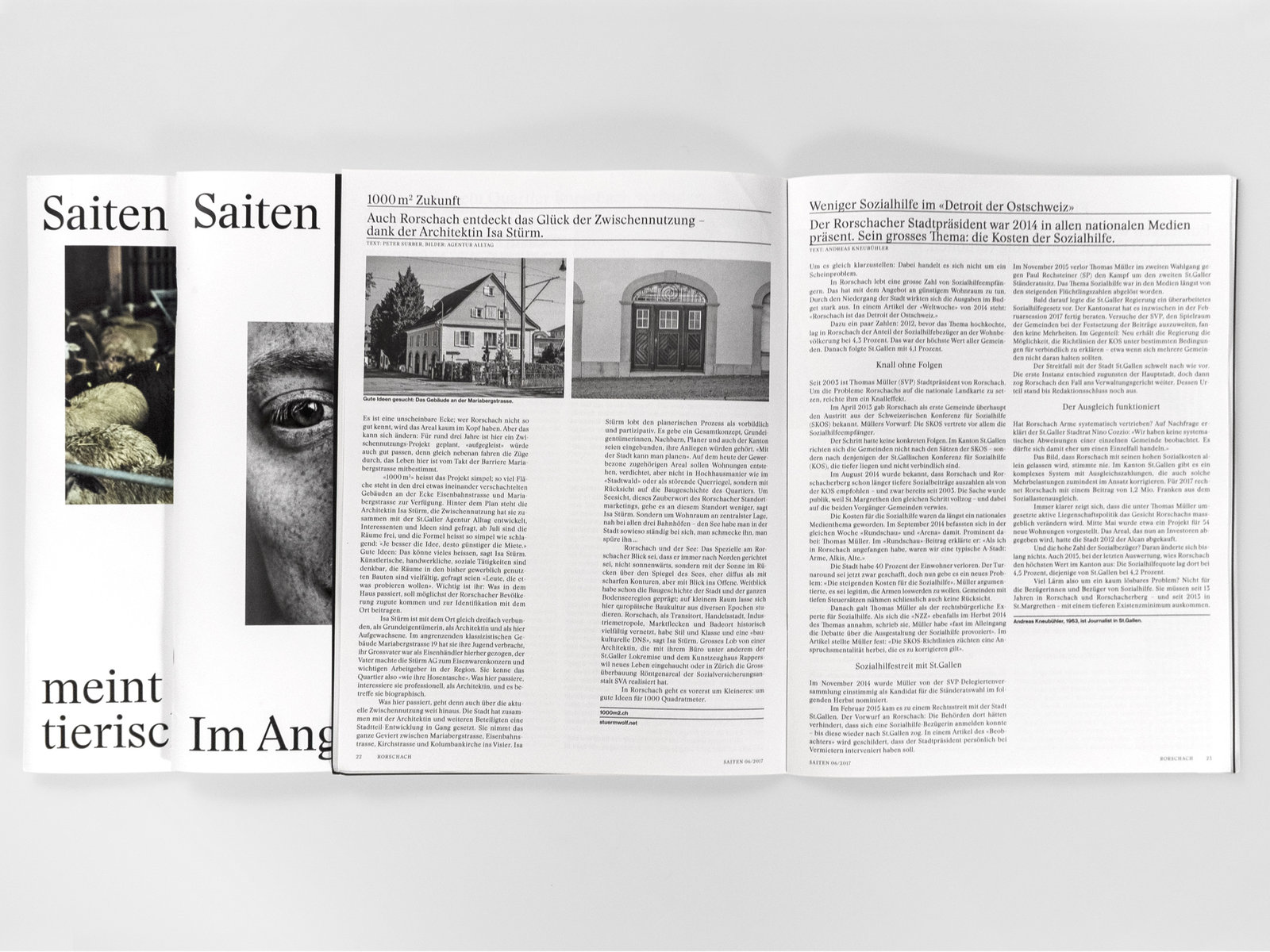 Inserat Saiten 1000m2 von Maria baut