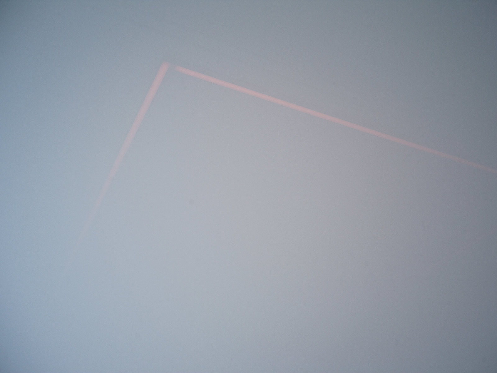 Webauftritt Museum of Emptiness