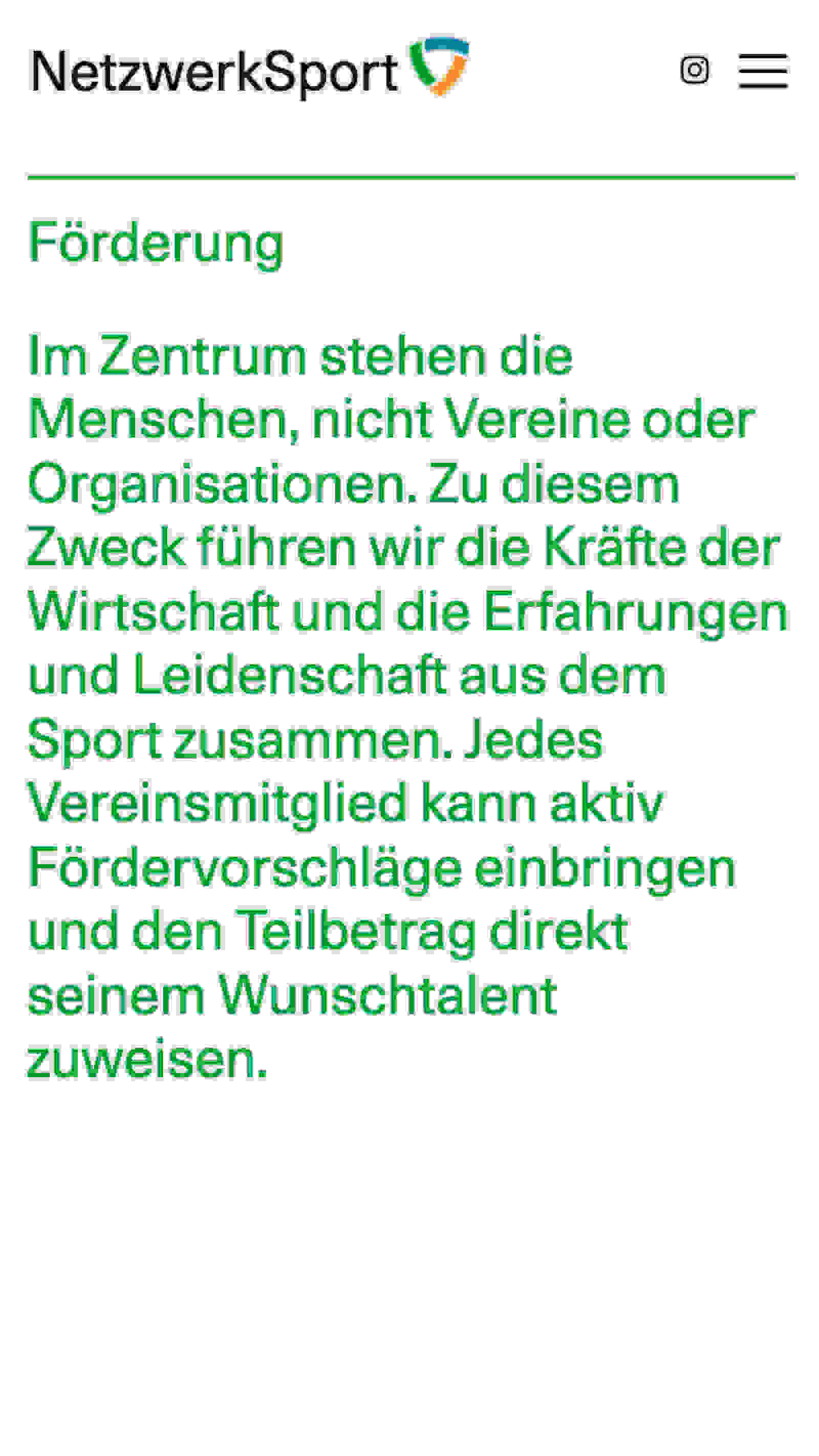 Webseite NetzwerkSport