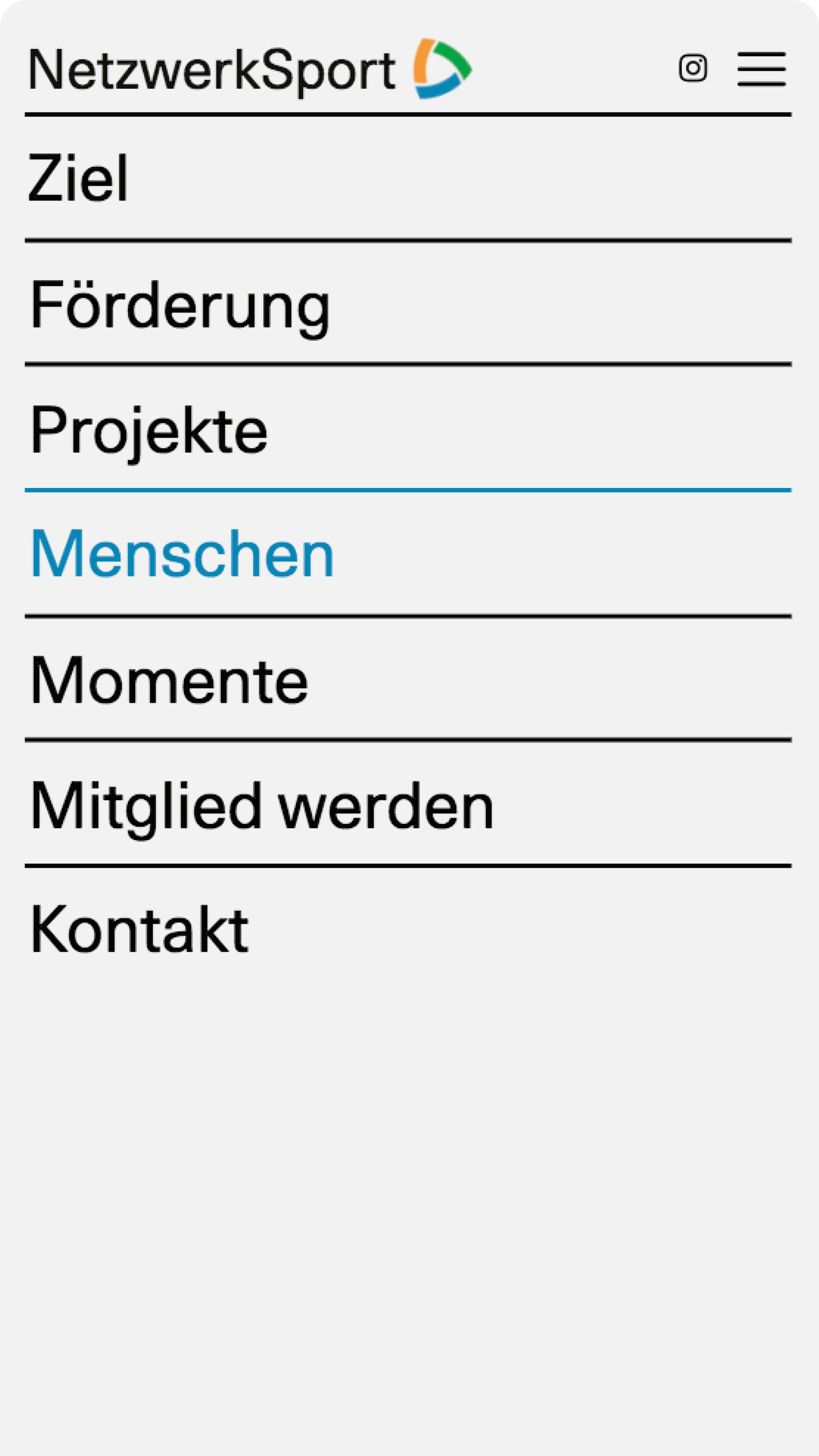 Webseite NetzwerkSport
