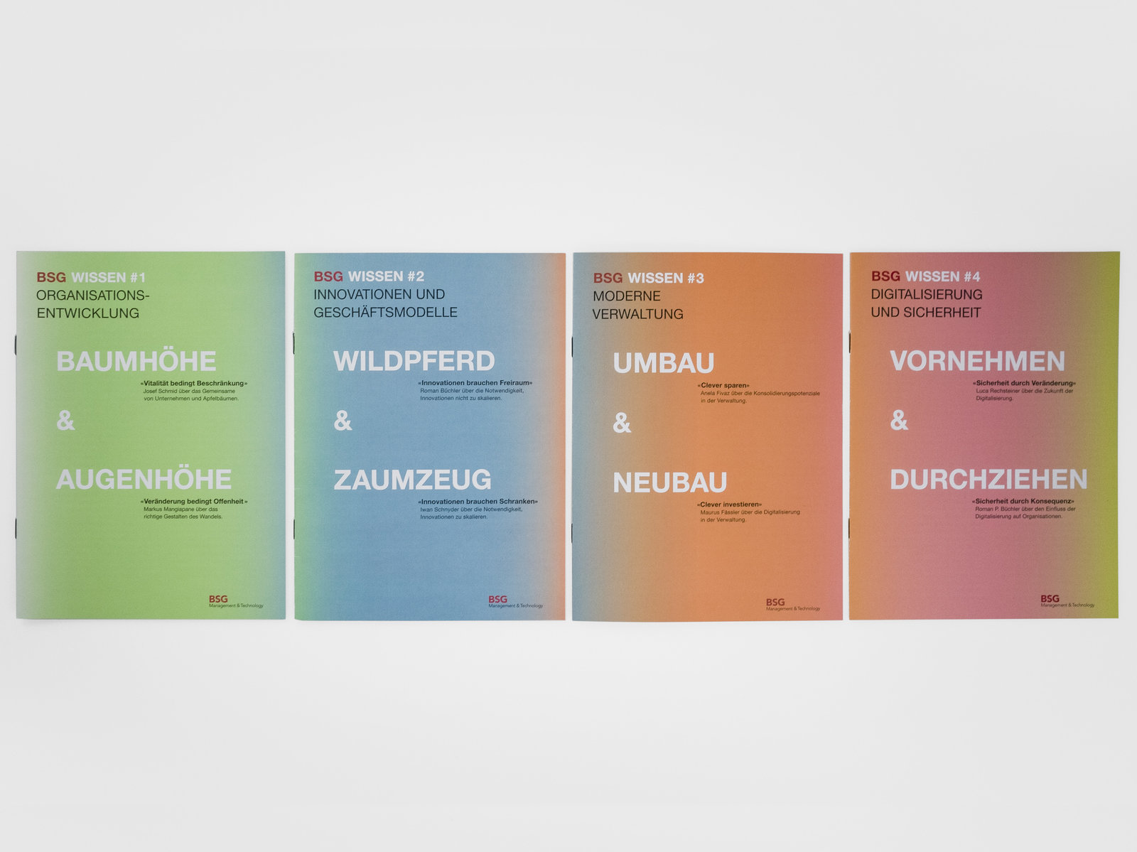 Newsletter BSG Wissen