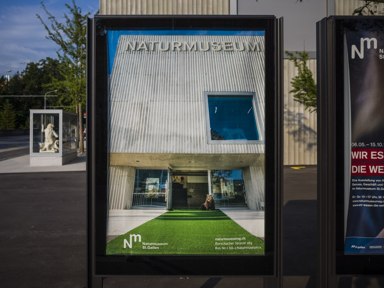 Plakat Wiedereröffnung Naturmuseum St.Gallen