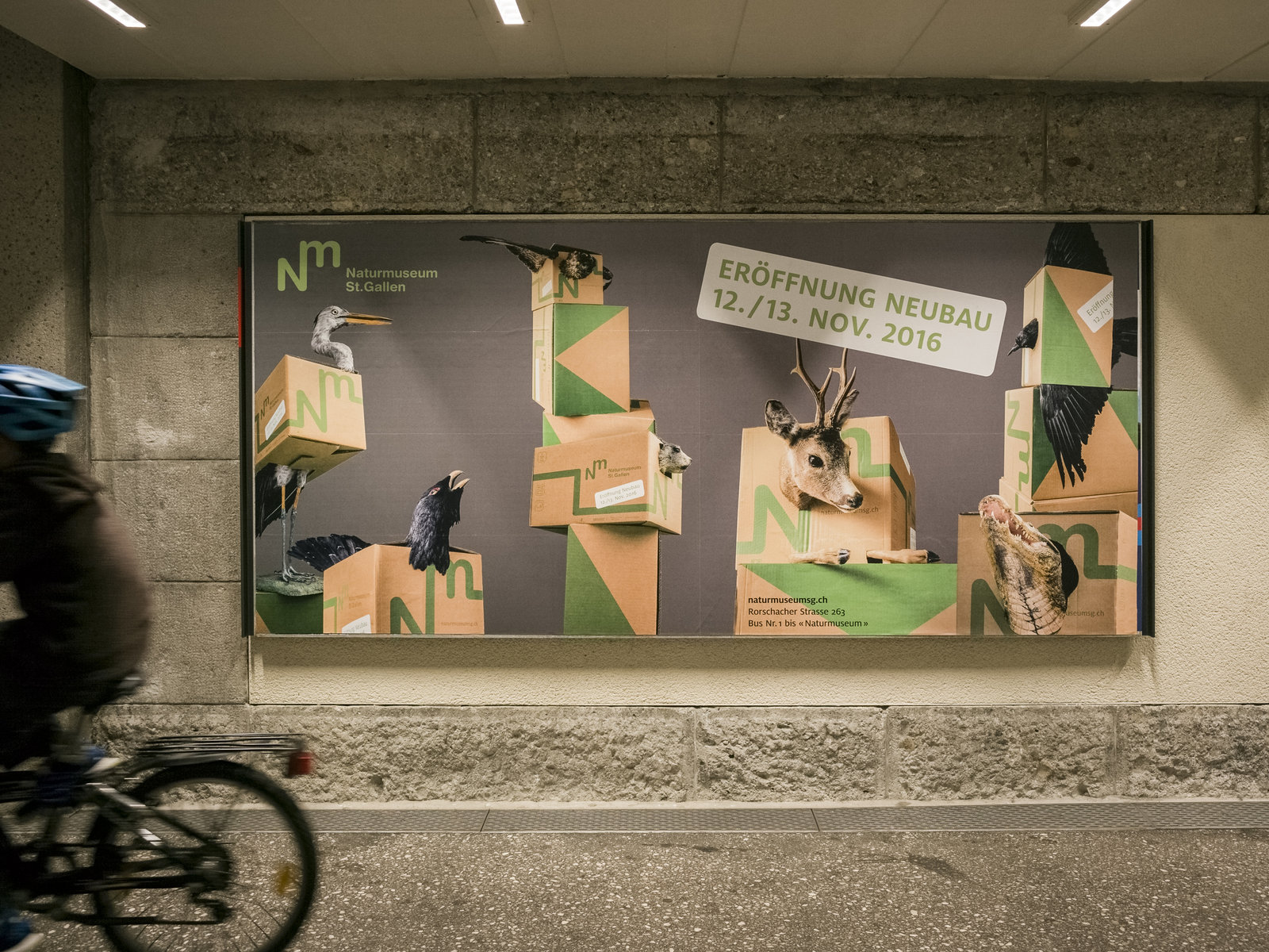 Plakat Umzugsschachtel Naturmuseum