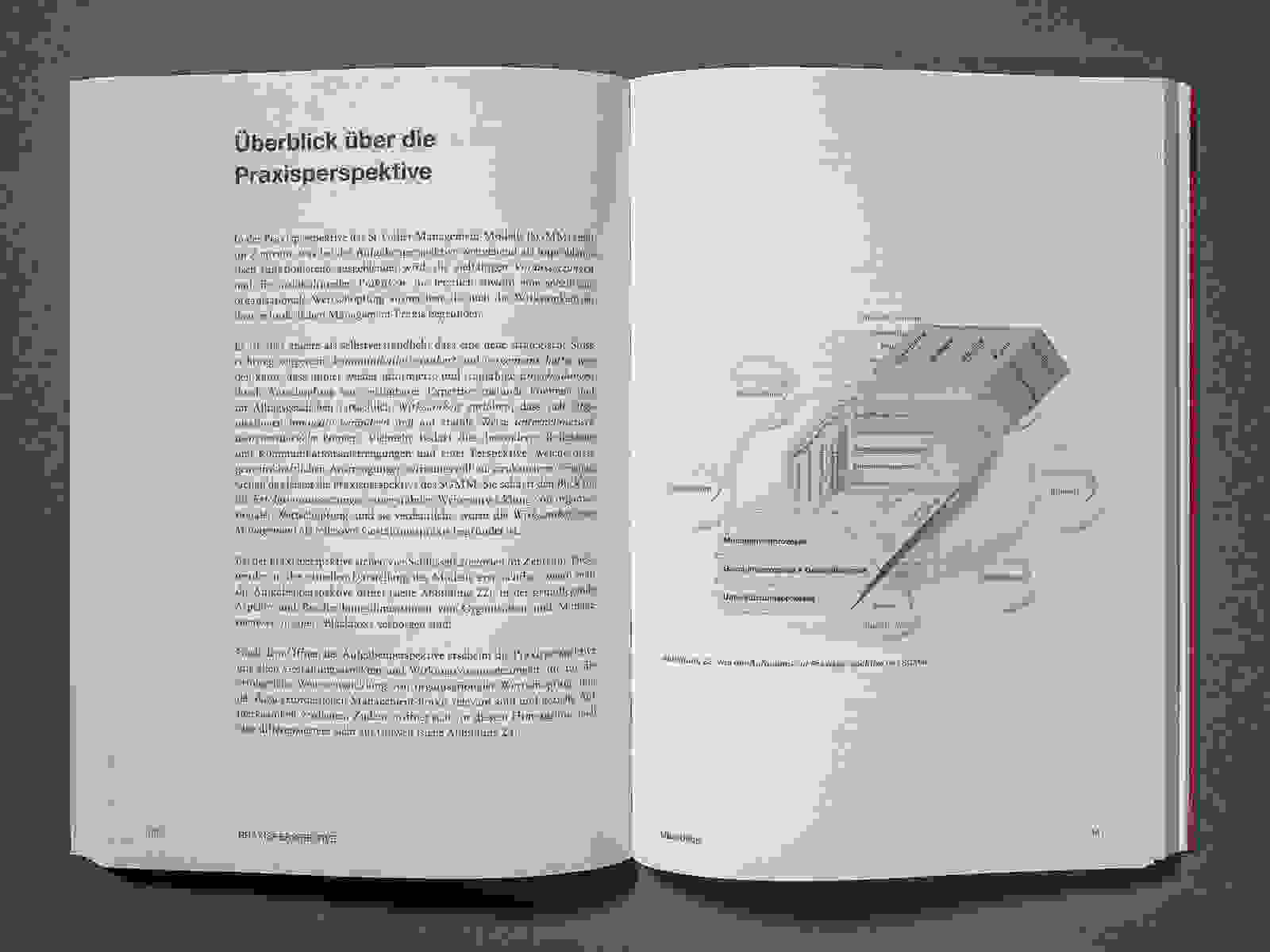 Grafik St.Galler Management Modell SGMM: von der Aufgbabenperspektive zur Praxisperspektive