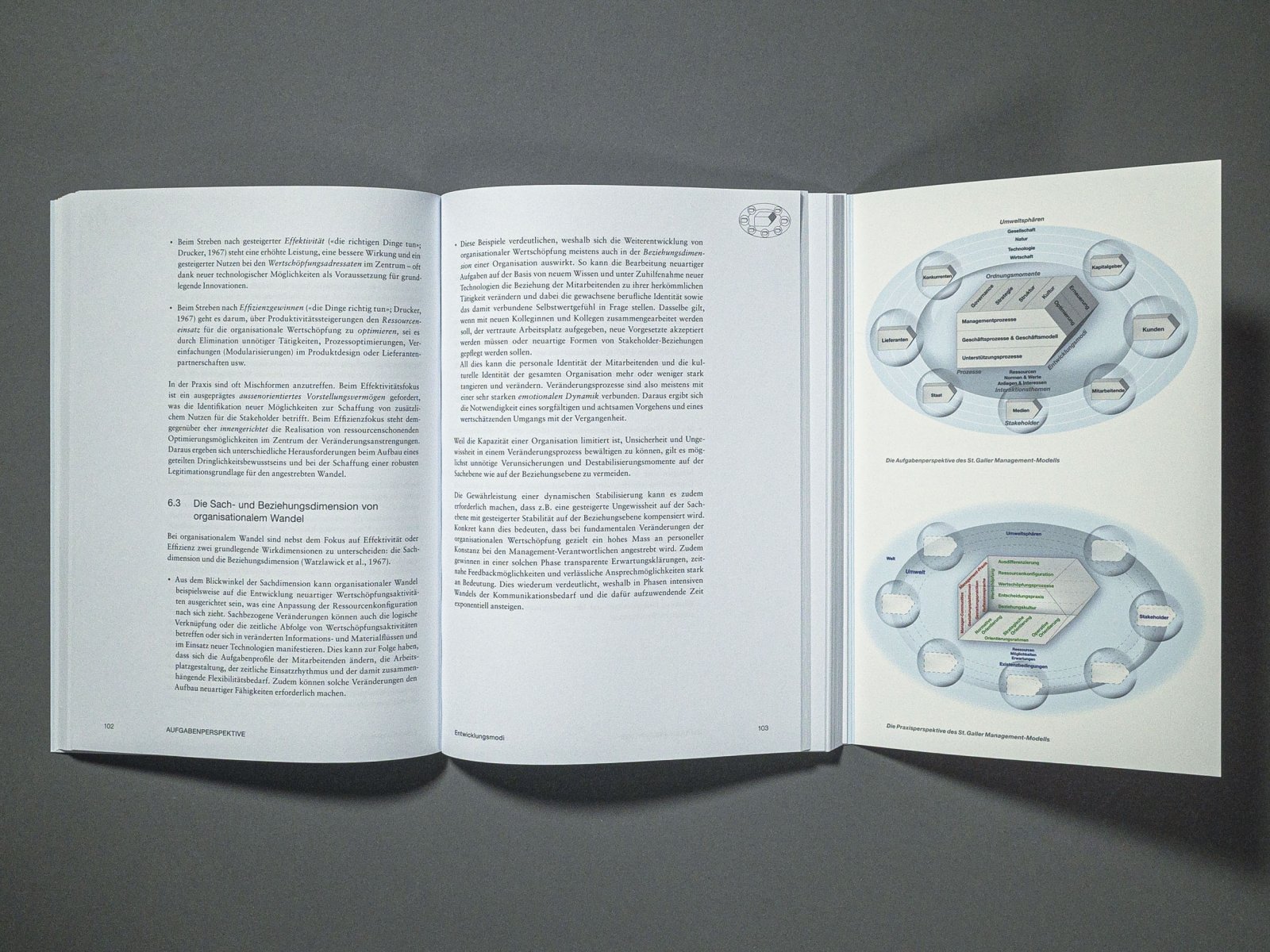 Modellgrafik Und Lehrbuch SGMM - Alltag