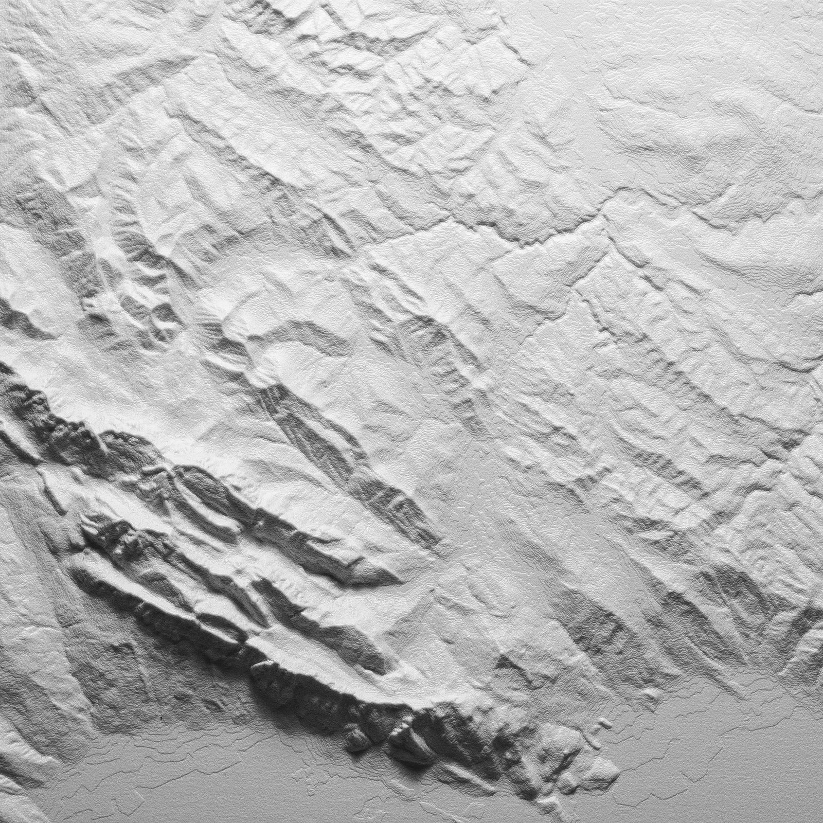 Abstimmungskampagne Naturmuseum St.Gallen