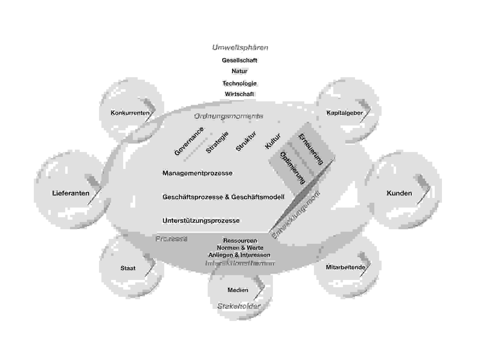 Grafik St.Galler Management Modell: Aufgabenperspektive