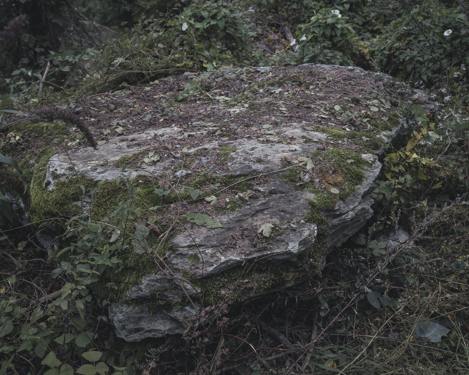 Steinreise TEK TO NIK Unesco-Welterbe Tektonikarena Sardona